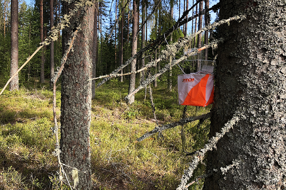 Bilden visar en vit/orange orienteringsskärm som hänger på ett träd i en grön skog. 